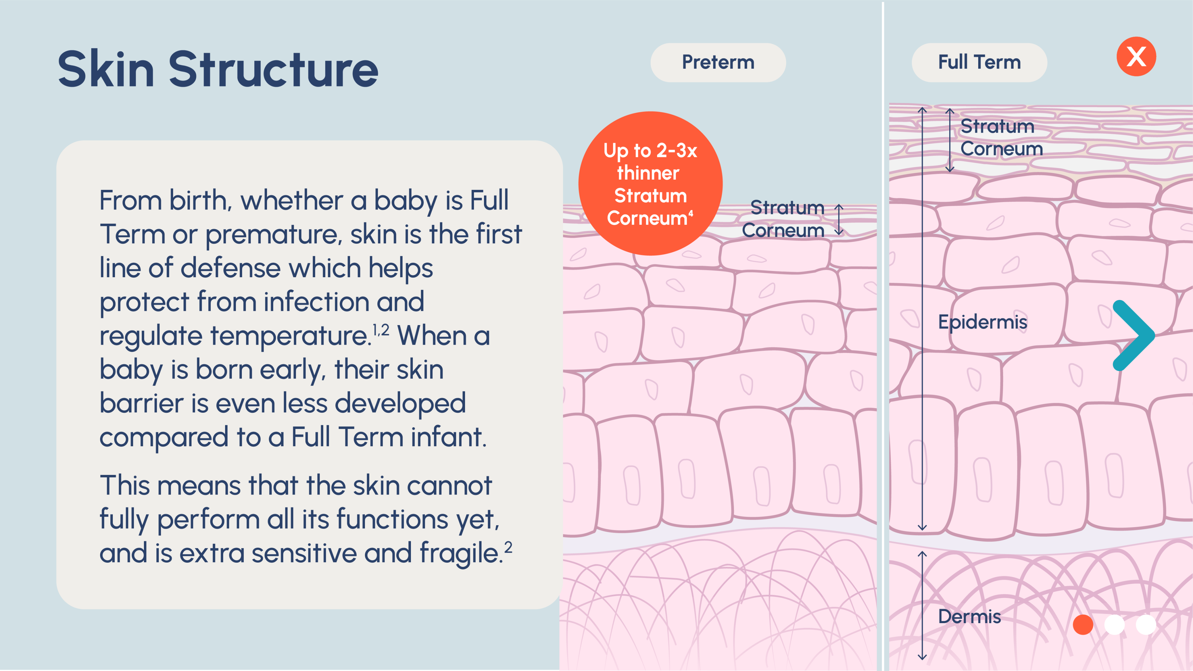 Lesson 2 Neonatal Skin Fundamentals Course